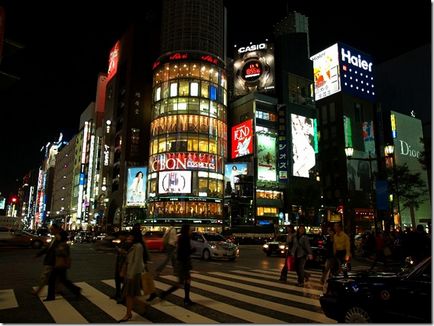Zece dintre cele mai interesante fapte despre Japonia