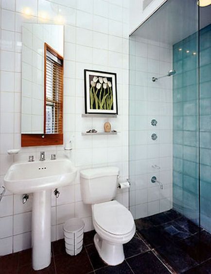 Proiectarea o baie in casa cu ecran plat - opțiuni foto