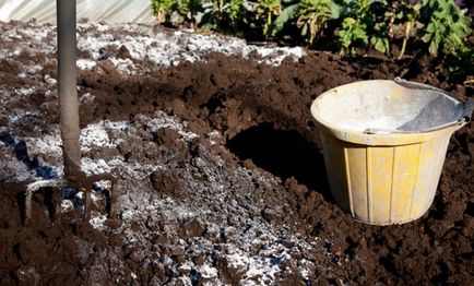 De ce și cum să dezinfecteze sol înainte de plantare răsaduri