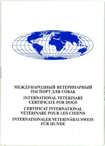Documente pentru câini - ce și de ce, prietenul tău pletos)