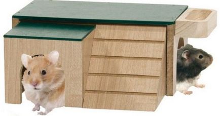 Casa de hamster cu propriile sale mâini