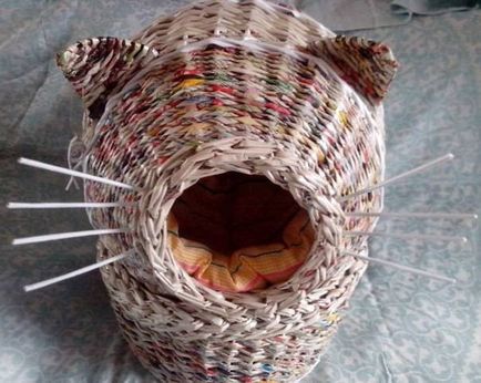 Case pentru pisici din tuburi de ziar