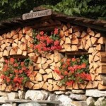 Woodshed în țară cu mâinile lor fotografii, desene, vizualizări