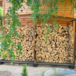 Woodshed în țară cu mâinile lor fotografii, desene, vizualizări