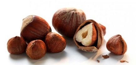 Hazelnut - bun și proprietăți utile alunei