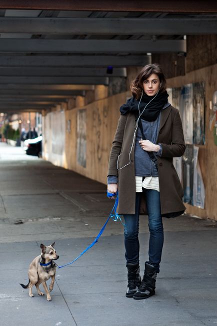 Glorypets - câine București, în cazul în care să se plimbe animalele de companie