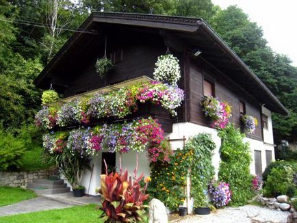 Idei de modul de a decora fațada casei cu flori
