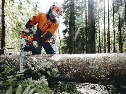 Instrucțiuni de utilizare Chainsaw, portal de construcție (funcționare) Instrucțiuni de utilizare Chainsaw, portal de construcție