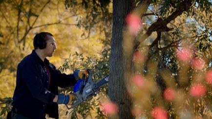 Instrucțiuni de utilizare Chainsaw, portal de construcție (șoc) Instrucțiuni de utilizare Chainsaw, portal de construcție