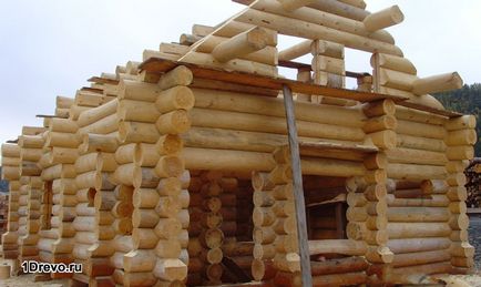 Care din lemn pentru a construi o casa de revizuire a materialelor populare