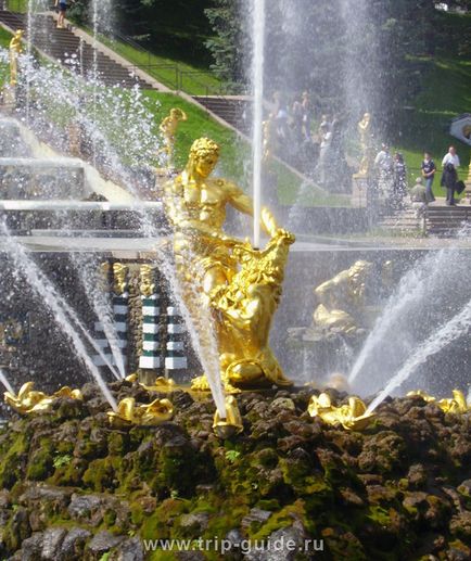 Cum se ajunge la Peterhof