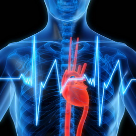 Care sunt bolile sistemului cardiovascular și principalele cauze ale bolii la o valoare crescută