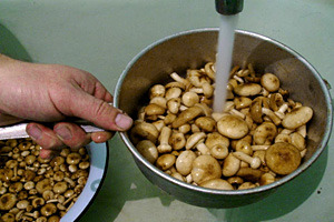 Ce ciuperci și cât de mult ar trebui să fie înmuiate înainte de gătit