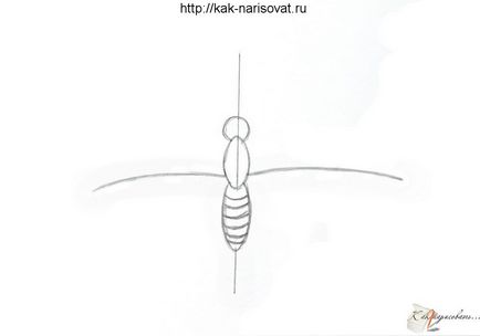 Cum de a desena un creion etape fluture pentru incepatori