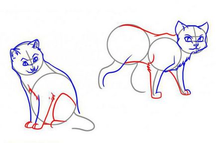 Cum de a desena o pisica-războinici - descriere pe etape