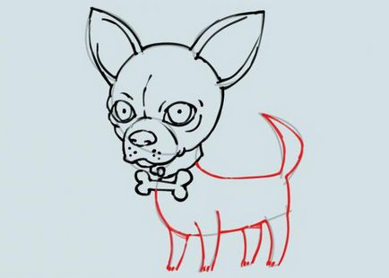 Cum de a desena un caine Chihuahua - Sfaturi artist