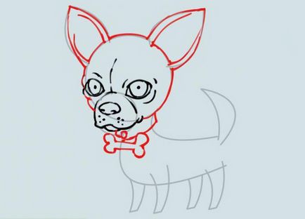 Cum de a desena un caine Chihuahua - Sfaturi artist