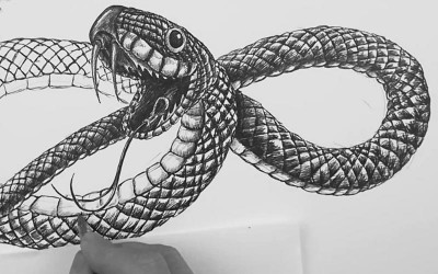 Cum de a desena un șarpe în etape