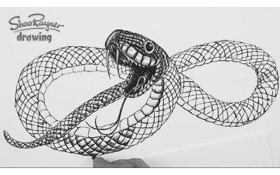 Cum de a desena un șarpe în etape