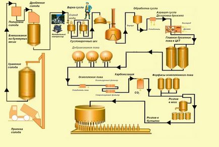 Cum de a deschide producția de bere - bere sau introduceți un mini-fabrică de bere în funcțiune