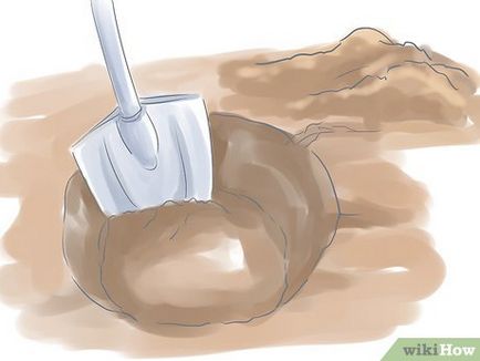 Cum de a planta un tufiș