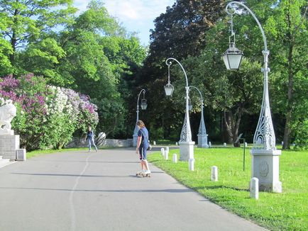 Cum de a construi parc perfectă