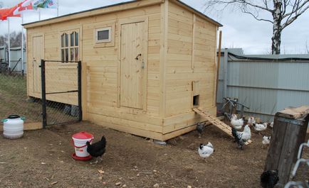Cum de a construi un coteț cu mâinile pentru 50 de pui de găină, fotografii, desene și video