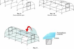 Cum de a construi o sera pentru policarbonat sau de a face cu efect de seră