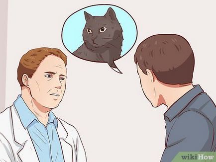 Cum de a prinde o pisică fără stăpân