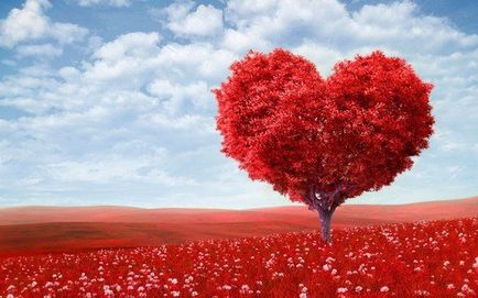 Cum să felicit Ziua Îndrăgostiților om fericit