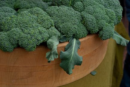 Cum de a găti broccoli este util și gustos