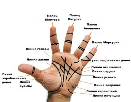 Cum de a citi toate importante liniile de pe palma, fără ajutorul unui ghicitor