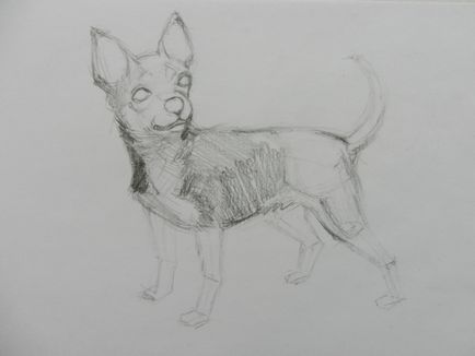 Cum de a desena un caine Chihuahua (creion artist Alex) Cum de a desena un caine Chihuahua