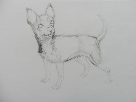 Cum de a desena un caine Chihuahua (artist creion de desen) Cum de a desena un caine Chihuahua