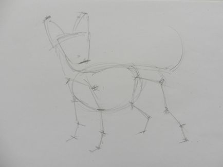 Cum de a desena un caine Chihuahua (creion artist Alex) Cum de a desena un caine Chihuahua