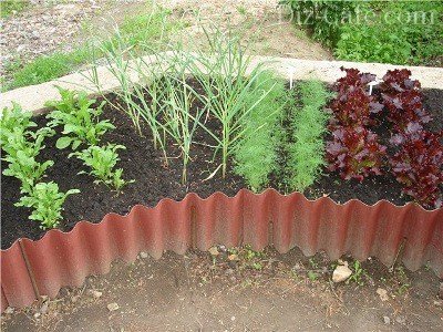 Cum sa faci paturi frumoase pentru legume în grădina lor de vară