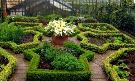 Cum de a face dreapta și o grădină frumoasă, cu propriile sale mâini, și idei foto