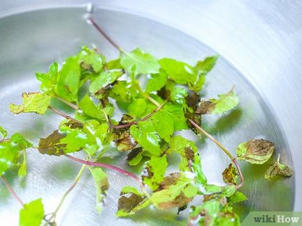 salata verde Cum fin tocat