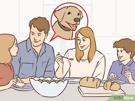 Cum de a convinge părinții pentru a obține un câine