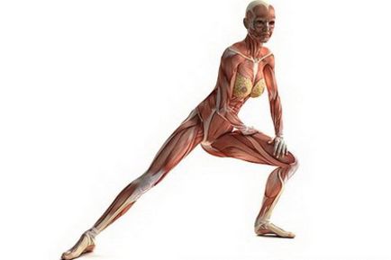 Cum de a consolida ligamentele si tendoanele de formare, exercitii fizice, suplimente dietetice, nutriție