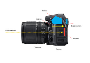 Cum aparat de fotografiat digital SLR