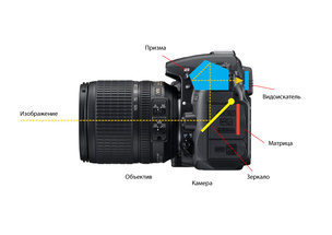 Cum aparat de fotografiat digital SLR