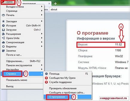 Cum de a cunoaște versiunea programului (Internet Explorer browser-ul) Cum de a găsi versiunea de software