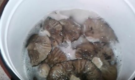 Cum de a absorbi ciuperci film alb-negru ca un macerat de ciuperci sărate și înainte de sarare