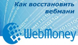 Cum de a restabili o pungă WebMoney luate în considerare toate opțiunile