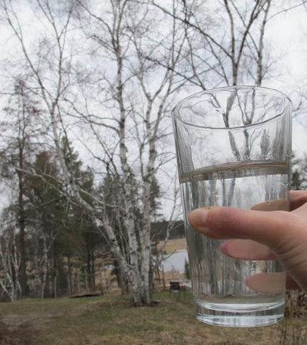 Cum se închide sucul de mesteacăn cu lamaie pe timpul iernii (lamaie) Cum se închide sucul de mesteacăn cu lamaie pe timpul iernii
