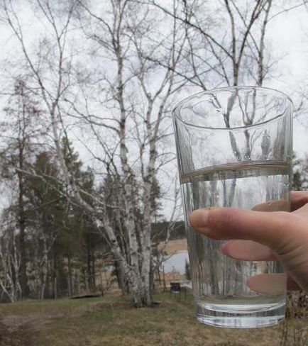 Cum se închide sucul de mesteacăn cu lamaie pe timpul iernii