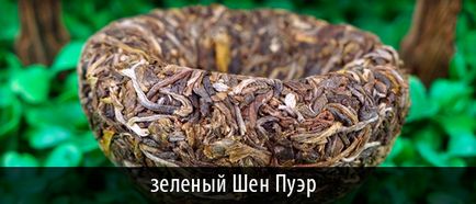 Brewing Puer shen shu și presare, tablete și neaderente - modalități de fabricare a berii, video