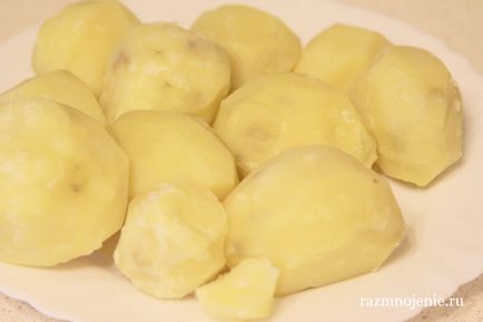 Cartofi cu brânză în cuptor