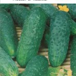 Catalogul de semințe de castravete (vezi toate clasele) magazin online pentru semințe - agrokontinent